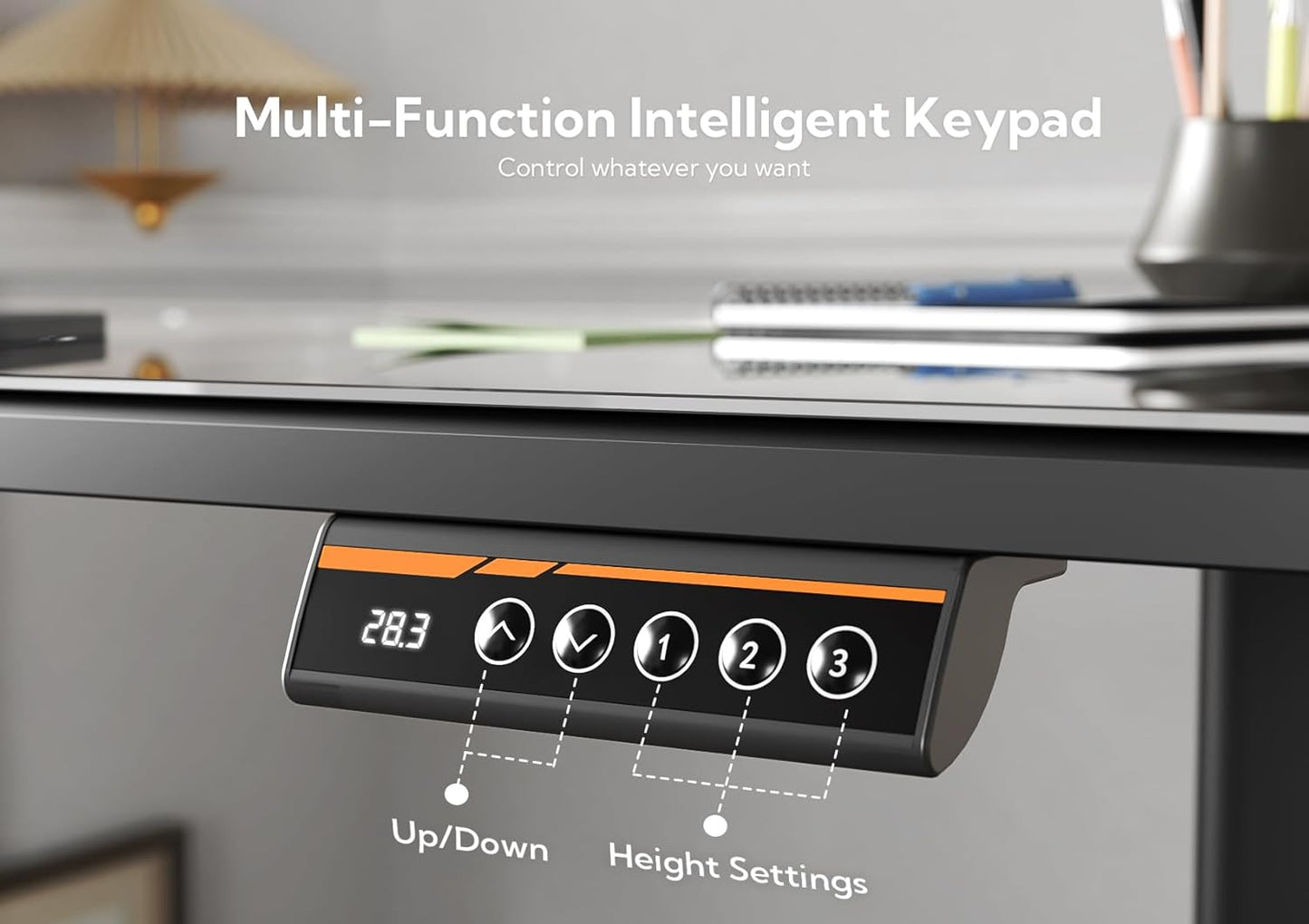 Glass Standing Desk 100×60 cm Black